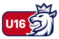 czech lev Sticker by Národní tým