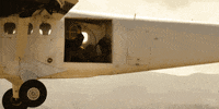 drugs plane GIF by Snowfall