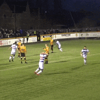 Celtic Fc Hearts GIF by SPFL