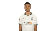 Borussia Monchengladbach Smile Sticker by Bundesliga