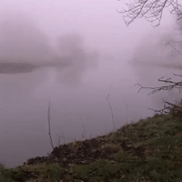 Pink Fog Shrouds Parts of Western England