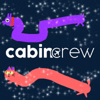 cabincrewstore cats dogs cabincrew GIF