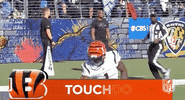Cincinnati Bengals Football GIF by NFL