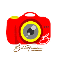 Camera Flash Sticker by Bel Ferreira Photography
