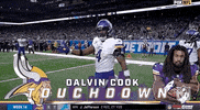 Minnesota Vikings Football GIF by NFL