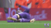 ligue 1 soccer GIF by Toulouse Football Club
