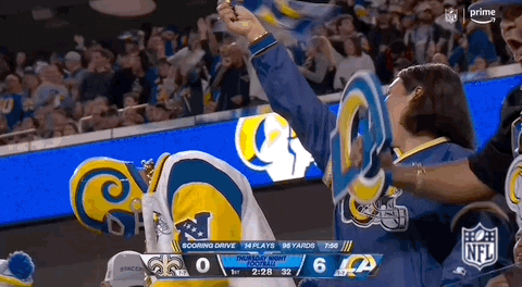 National Football League GIF by NFL