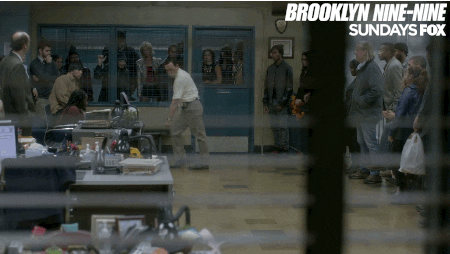 brooklyn nine nine beyonce GIF by Fox TV