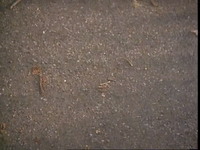 episode 4 specials GIF