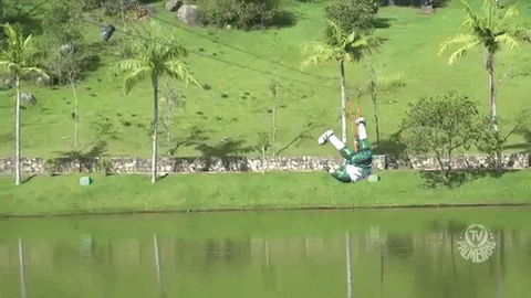 Palmeiras giphygifmaker palmeiras resort porco GIF