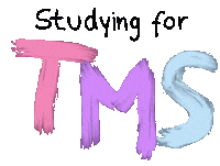 Studying Germany Sticker