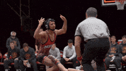Msumwrestling GIF by MSUM Dragons
