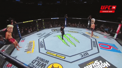 eedobarganes giphygifmaker trump ufc mma GIF