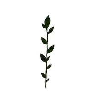 Julia_Ili summer flower green spring Sticker
