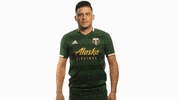 Shocked Portland Timbers GIF by Timbers