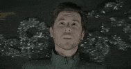 polyvinylrecords singing staring tinsel generationals GIF