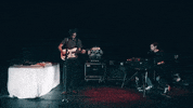 polyvinylrecords singing band bass live band GIF