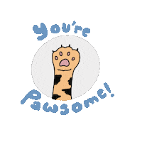 k9ballistics kitty meow house cat cool cat Sticker