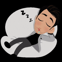 NasserTone sleep sleeping lazy zzz GIF