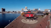 Maryland GIF by 50statesproject