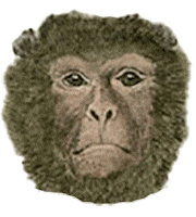 Super Star Love Sticker