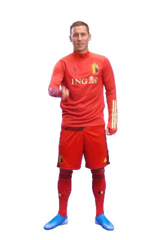 ingbelgium goal red perfect well done Sticker