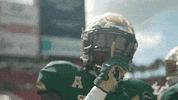 College Football GIF by USF Athletics