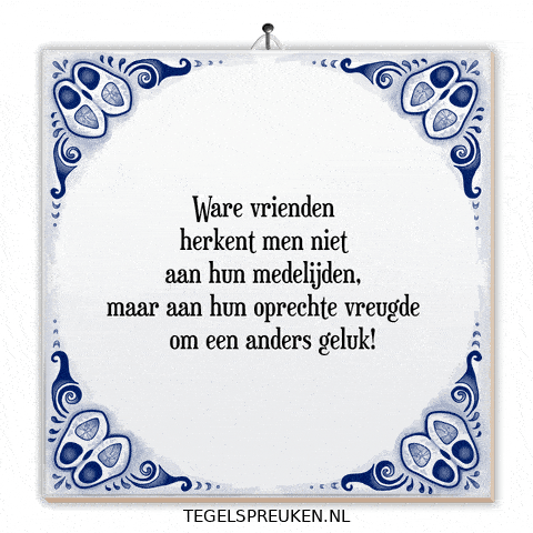 Nl Troost GIF by Tegelspreuken.nl