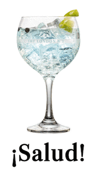 Gin Tonic Salud Sticker by The London Nº1
