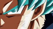 Dragon Ball Toppo GIF by TOEI Animation UK