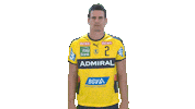 Handball-Bundesliga Pose Sticker by LIQUI MOLY HBL