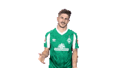 Bundesliga Austria Sticker by SV Werder Bremen