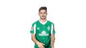 Bundesliga Austria Sticker by SV Werder Bremen