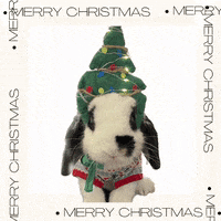 bosshappythebunny  GIF