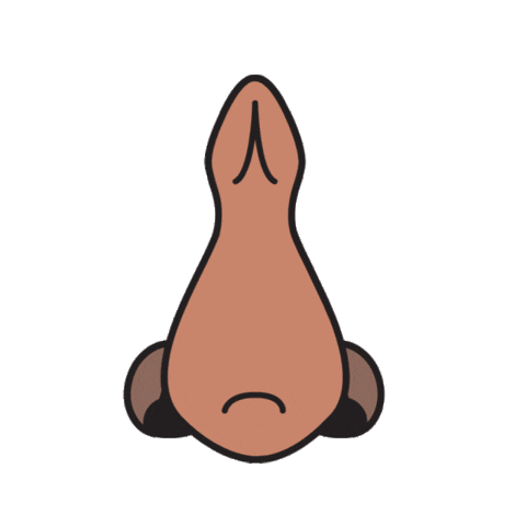 Nose Smell Sticker by Carolyn Figel