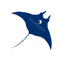 maldives Manta manta ray scubaspa Sticker