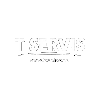 Festival Lights Sticker by TSERVIS
