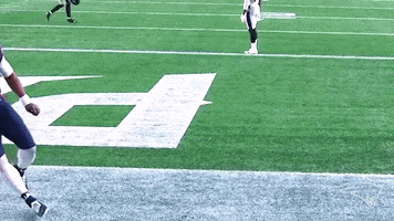 Happy Cam Newton GIF by New England Patriots