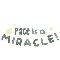 Zoom Miracle Sticker by PaceAcademy