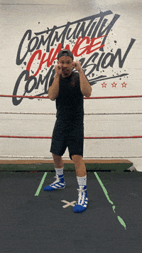 quinitboxing  GIF