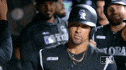 Major League Baseball Sport GIF by MLB