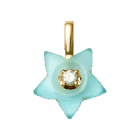 Estate Jewelry Star Charm Sticker by Brave Daughters