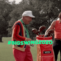 SWWABigs  GIF