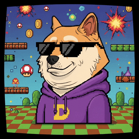 Video Games Deal With It GIF by Doge Pound