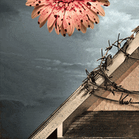 heather graham television GIF by Lifetime