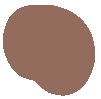 Colour Shape Sticker