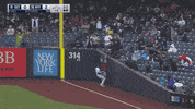 Major League Baseball Wow GIF by MLB
