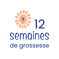 Pregnancy 12Sa Sticker by Absorba
