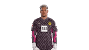 Football Thumbs Up Sticker by Borussia Dortmund