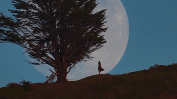 Spectacular Moonrise Sets Backdrop for Moon Dance